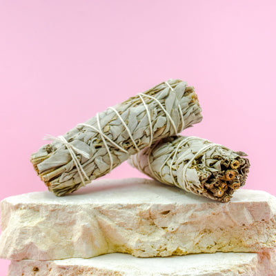 Medium white sage smudge stick - Wands of Lust Co